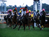 競馬