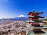 旅行部