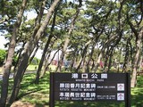 港口公園