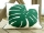 manaami